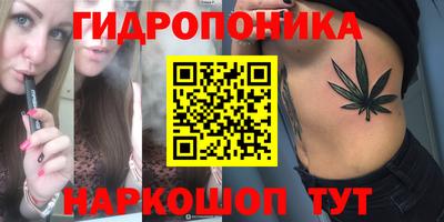 шишки Кинель