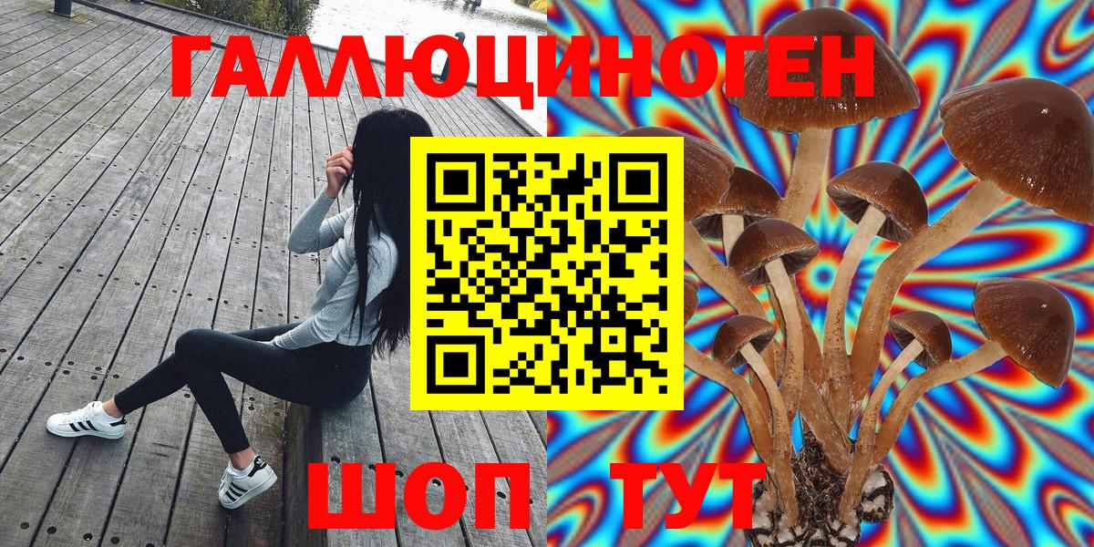 Галлюциногенные грибы мухоморы Черкесск